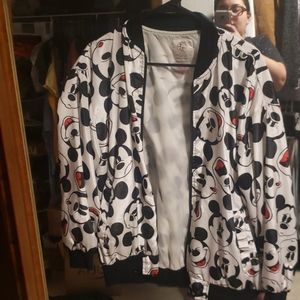 Mickey mouse bomber
